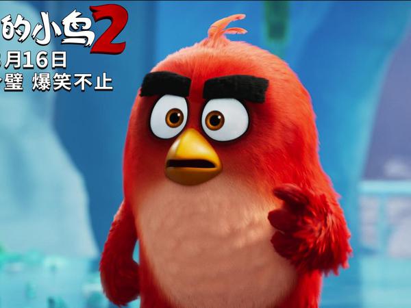 图片[7]-愤怒的小鸟里约版-唐朝资源网