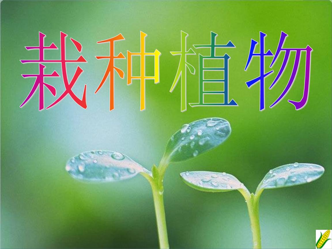 植物贴画活动方案（共4篇）–上海怡健医学-唐朝资源网