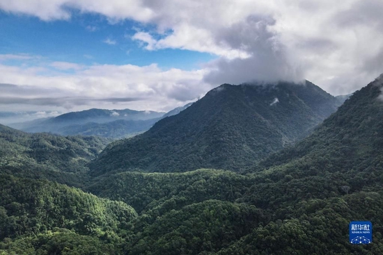  海南热带雨林国家公园五指山片区景色（5月19日摄，无人机照片）。新华社记者 张丽芸 摄