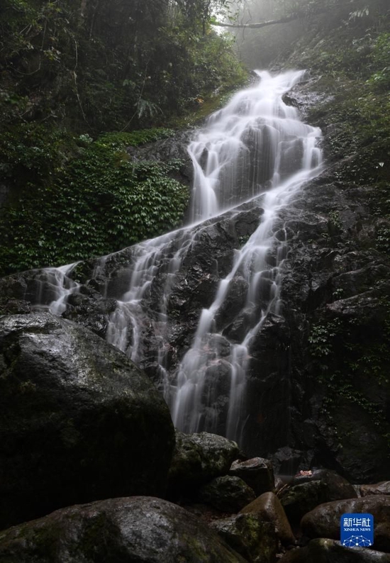  海南热带雨林国家公园五指山片区景色（5月3日摄）。新华社记者 杨冠宇 摄