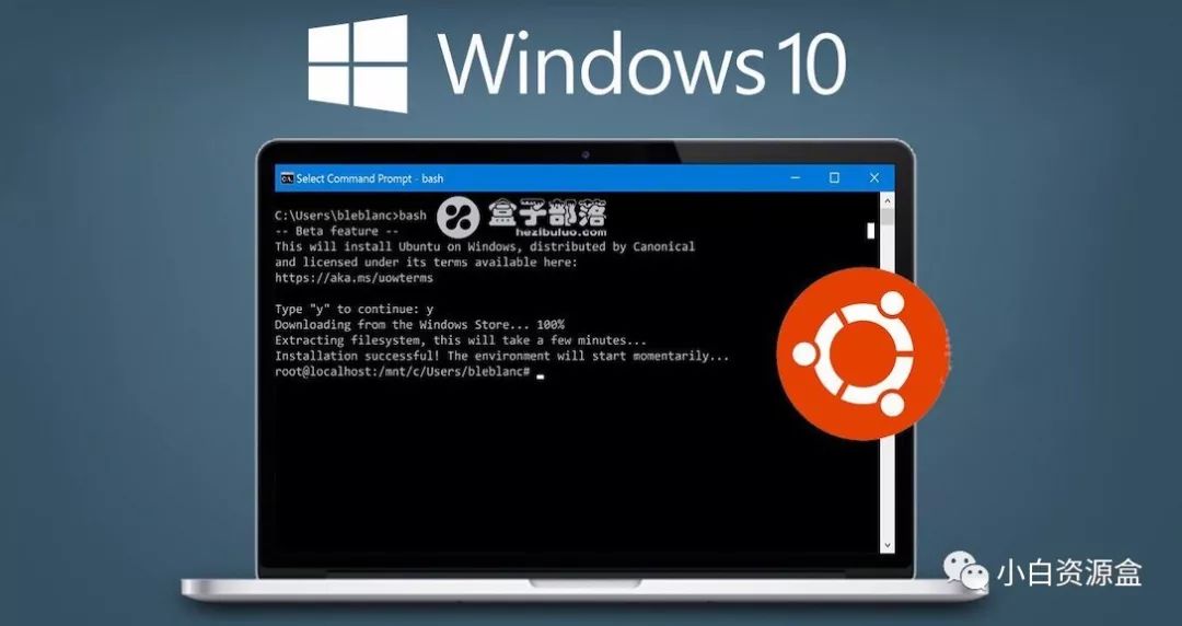 window10系统官方下载_window 2003pe系统下载_极品五笔输入法下载2015官方下载w7系统