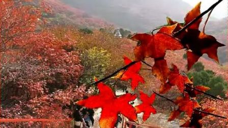 _小城低调的让人心疼 藏着中国最美的秋天_小城低调的让人心疼 藏着中国最美的秋天