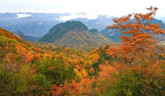 _小城低调的让人心疼 藏着中国最美的秋天_小城低调的让人心疼 藏着中国最美的秋天