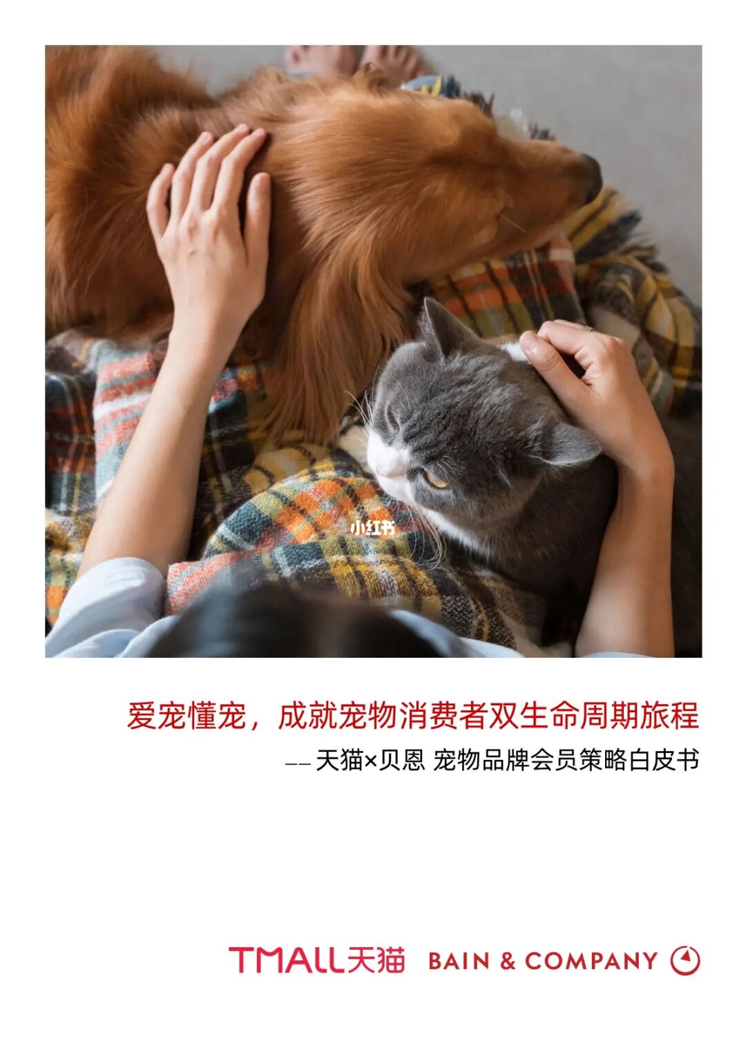 宠物app项目简介_宠物网站盈利模式_
